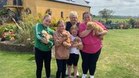 ‘It means a lot to us': Sheehan family to run Echo Mini Marathon in memory of their mum