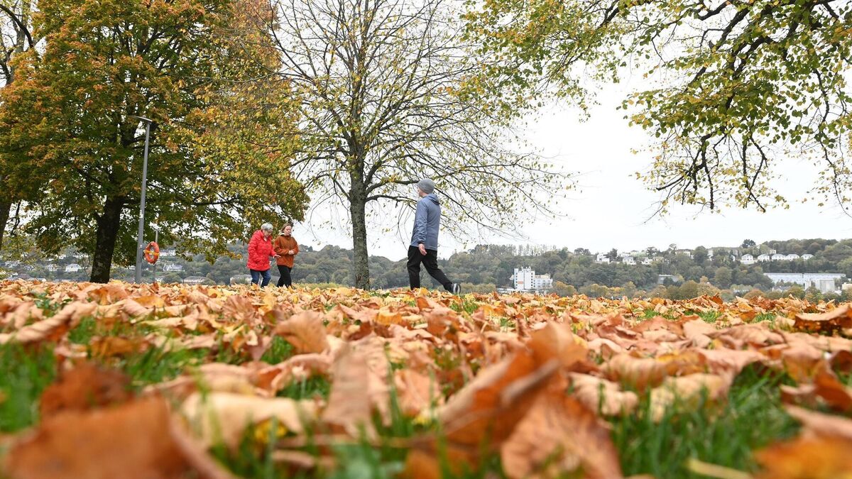 8 simple ways to reset your wellbeing this September
