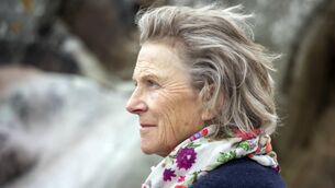 <p>Andrea's love for the outdoors is reflected in her new exhibition. Pictures: Bernard van Geeson</p> <p>Andrea's love for the outdoors is reflected in her new exhibition. Pictures: Bernard van Geeson</p>