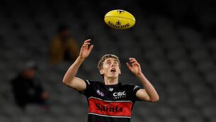 <p>Liam O'Connell in action for St Kilda. Picture: Michael Willson/Getty Images</p> <p>Liam O'Connell in action for St Kilda. Picture: Michael Willson/Getty Images</p>