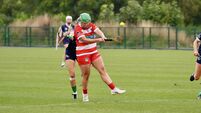 Barrs, Sars, Blackrock and Courcey Rovers through to camogie semi-finals