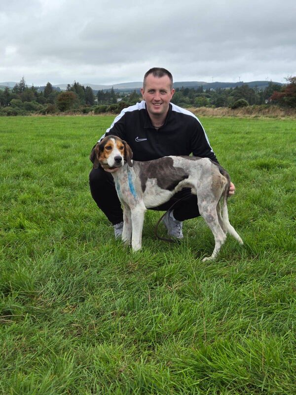 Danny McSweeney with Cruiser of Kerry Pike/Fair Hill harriers winner of the Garry O'Sullivan Senior maiden memorial draghunt at Ryalne.