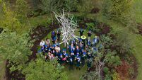 Award-winning garden gifted to State by EU plants roots at Cork's Marina