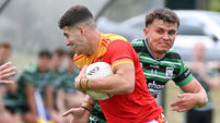 Mallow take down the Barrs to avoid relegation playoff