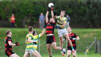 Carbery Rangers power into semis: 'We don't want to stay down here longer than we have to but we'll take it one game at a time'