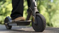Person rides electric scooter on a path surrounded by green trees during daytime