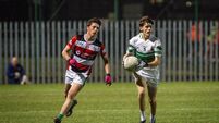 Hard work bearing real rewards in a landmark year for Macroom