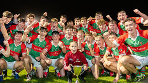 <p>Charlie Lynch, younger brother of Ballinora corner forward Jamie Lynch clasps the cup as Ballinora celebrate their victory over Ballyhea Milford in Rebel Óg U-16 Premier 1 Hurling Final. Picture by Noel Sweeney</p>