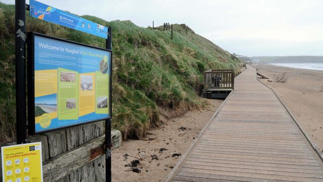 <p>Cork County Council and Fáilte Ireland have asked for feedback on a series of proposals to shape the visitor experience of Youghal. Picture: Dan Lineh</p>