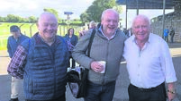 John Arnold: A day at the races... but using AI to select bets lost me €60!