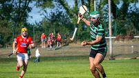 John Horgan on Cork club hurling: Relegation drama pushes clubs to the edge