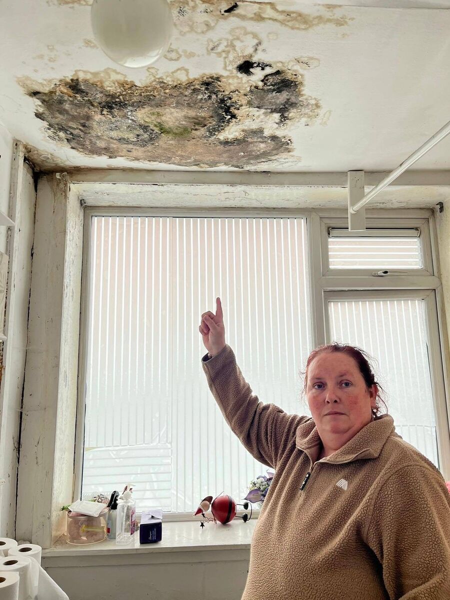 Anne Chaney O'Riordan points to the black mould blooming on the ceiling of her bathroom. Picture: Donal O'Keeffe Anne Chaney O'Riordan points to the black mould blooming on the ceiling of her bathroom. Picture: Donal O'Keeffe