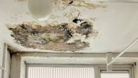 Mother of four additional-needs children pleads with Council to fix mouldy roof in Togher home