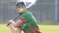 Ballinora retain senior camogie status after win over Glen Rovers Ballinora retain senior camogie status after win over Glen Rovers