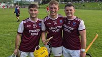 Argideen Rangers power past Ballygarvan in Premier Junior Hurling quarter-final