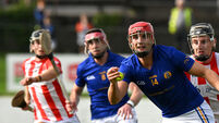 William Buckley stars as St Finbarr's cruise against Imokilly in PSHC quarter-final