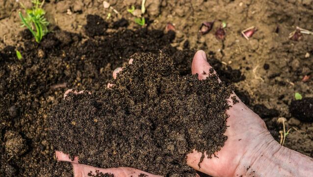 <p>Healthy gardening practices matter, says Mary Canty of the Department of Agriculture. </p> <p>Healthy gardening practices matter, says Mary Canty of the Department of Agriculture. </p>