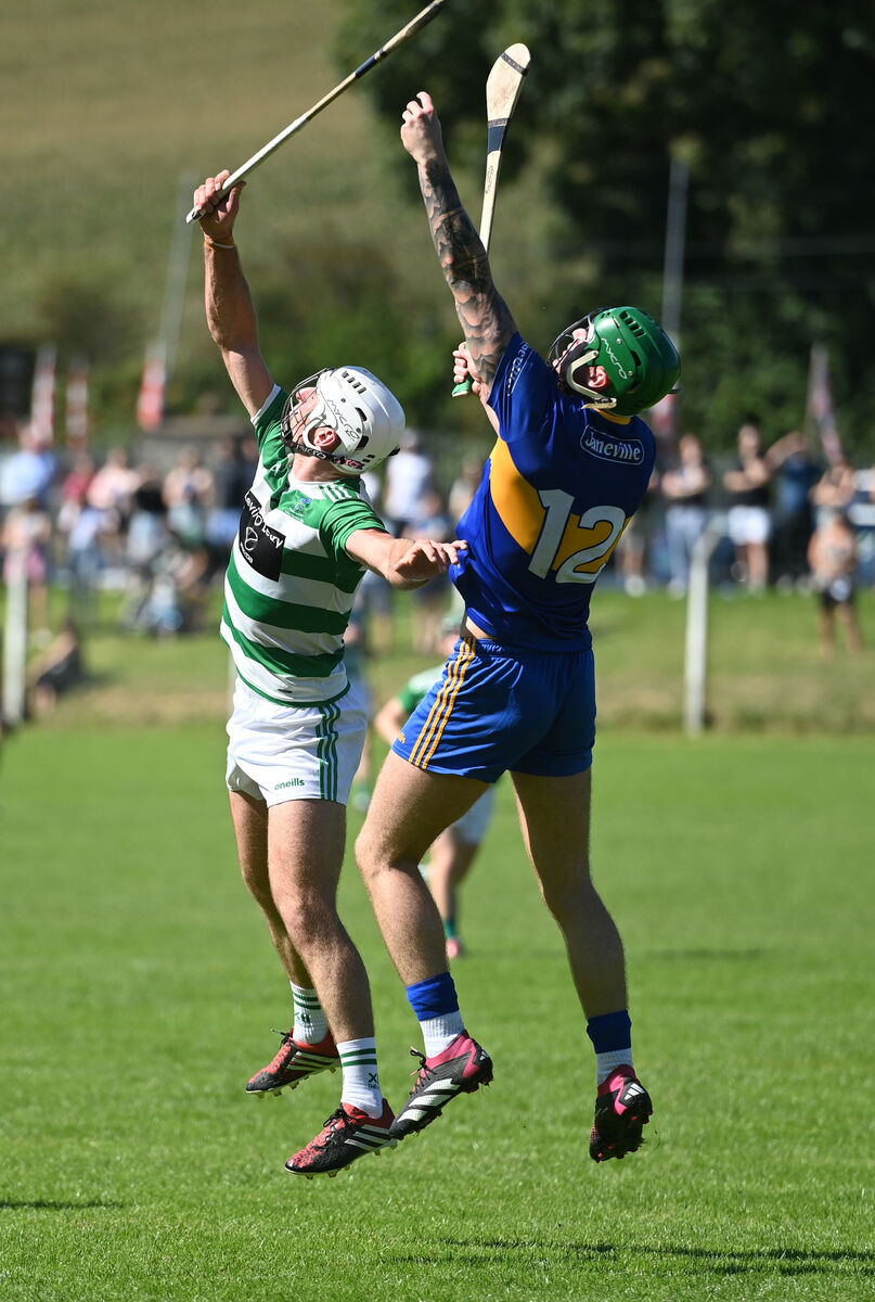 Dan Greene was very influential for Carrigaline at half-back. Picture: Larry Cummins