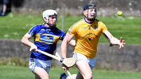 Cork Hurling Team of the Week: Brian O'Sullivan, Patrick Horgan and William Buckley shine