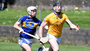 <p>St Finbarr's Damien Cahalane put in a fine showing against Imokilly. Picture: Eddie O'Hare</p> <p>St Finbarr's Damien Cahalane put in a fine showing against Imokilly. Picture: Eddie O'Hare</p>