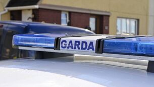 <p>Mr Cuddigan asked Judge David Waters to direct the gardaí to turn off the blue lights when they enter the estate where the accused man lives. File picture.</p>