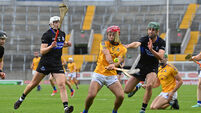 Brian O'Sullivan stretches clear in Premier Senior scoring as Buckley tops from-play charts