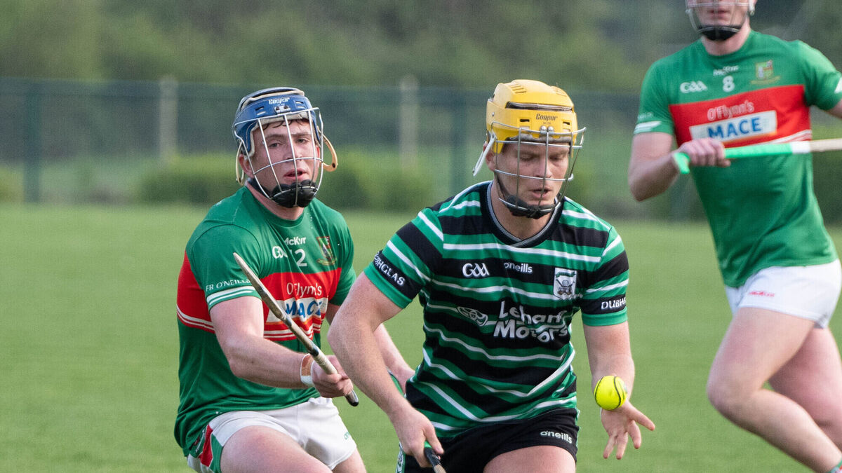 Christy O'Connor on hurling: New handpass rule would made best goal at Croke Park this season illegal