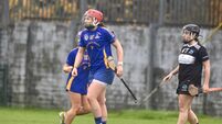 Cork camogie semi-finals preview: St Finbarr's face Sarsfields as Blackrock take on Courcey Rovers