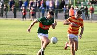 Premier SFC: 14-man Clonakilty hold off Newcestown fightback to reach last four