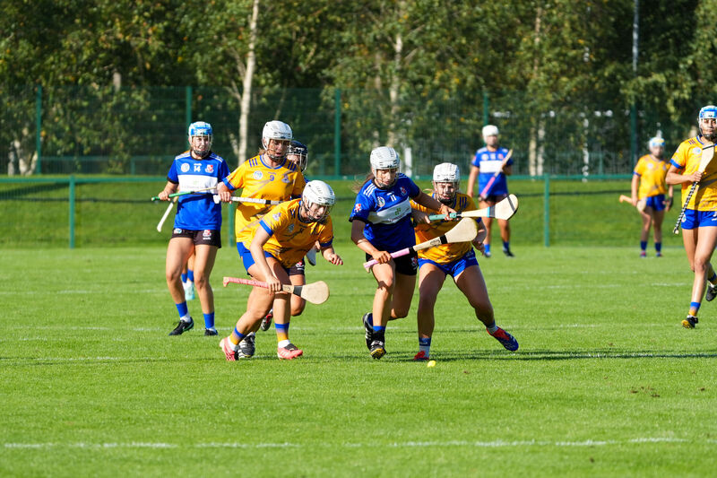  Action from Barrs and Sars camogie semi-final on Sunday. Picture: Noel Sweeney