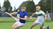 Case for Cork's final four: A new Premier Senior hurling champion awaits