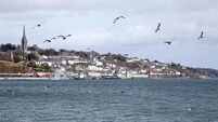 Long-awaited traffic calming measures to proceed on Cobh road 