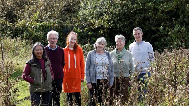 <p>Rosewood estate's local resident's association transformed the previously unused area.</p>