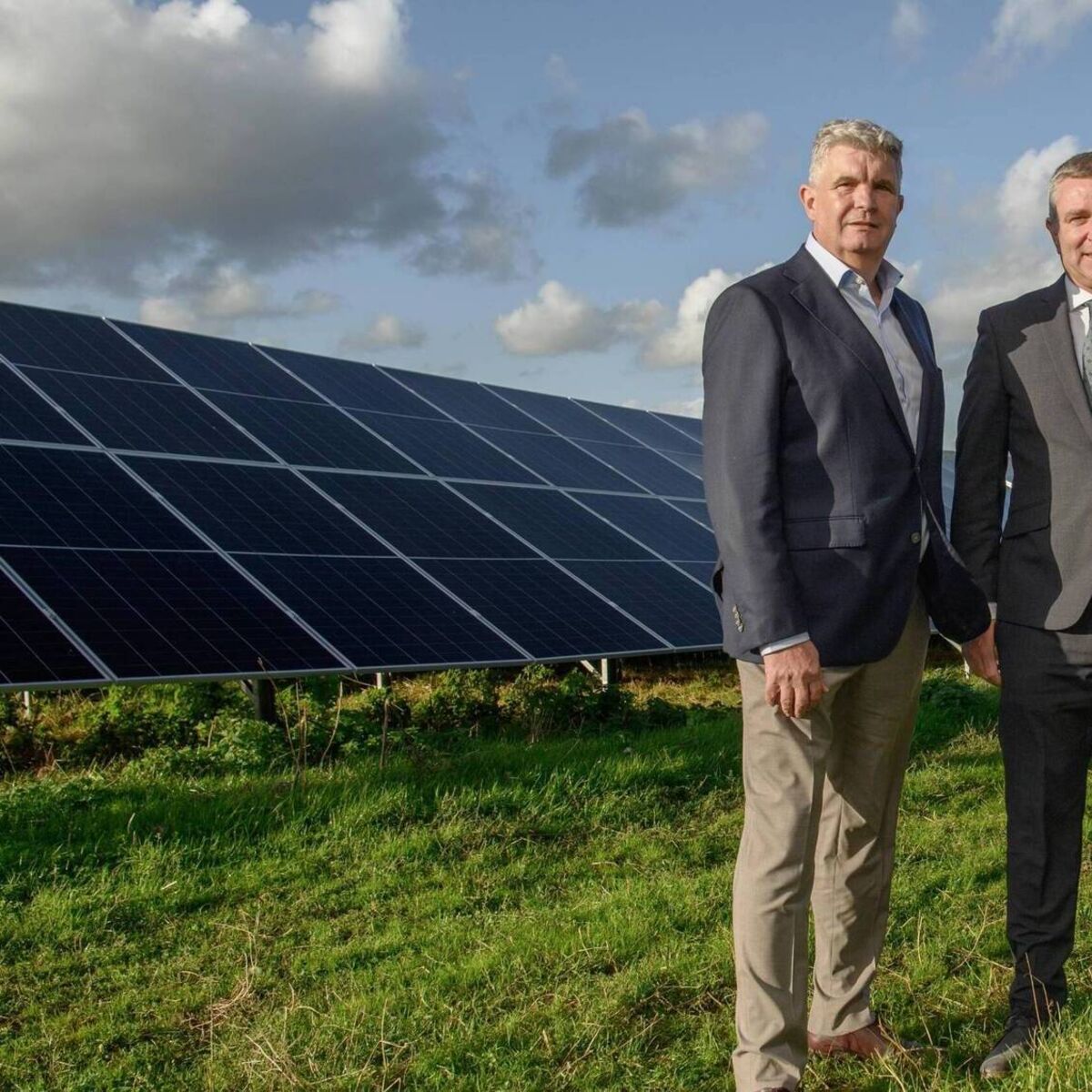 echolive.ie - Cork solar farm becomes first under State renewables scheme