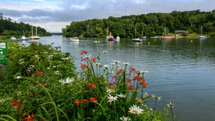 <p>Rain will start off Monday before drier conditions begin to develop in the afternoon, with sunny spells and daytime highs of 14C to 20C. Picture: Dan Linehan</p> <p>Rain will start off Monday before drier conditions begin to develop in the afternoon, with sunny spells and daytime highs of 14C to 20C. Picture: Dan Linehan</p>