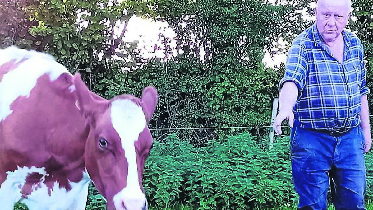John Arnold: A year since I milked my last cow... and I have no regrets