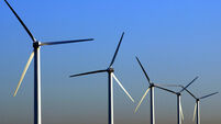 POLITICS Energy Windfarm 4