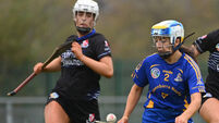 St Finbarr's v Blackrock: Barrs bid for third camogie championship in a row
