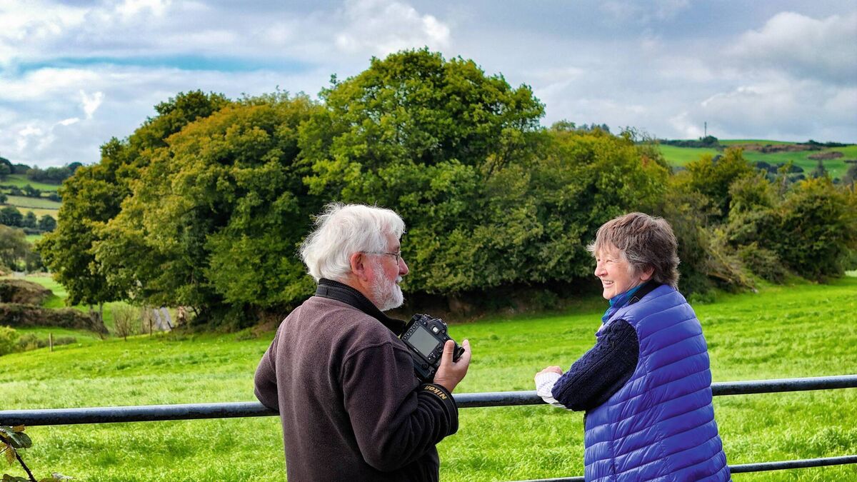 TV: Cork author delves into stories behind our fairy forts