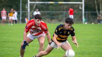 Brilliant Buttevant return to county final as Ardigole suffer once more at semi-final stage