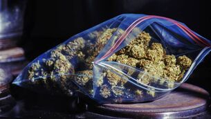 <p>Defendant is charged with possession of cannabis and having the drugs for the purpose of sale or supply to others.</p> <p>Defendant is charged with possession of cannabis and having the drugs for the purpose of sale or supply to others.</p>