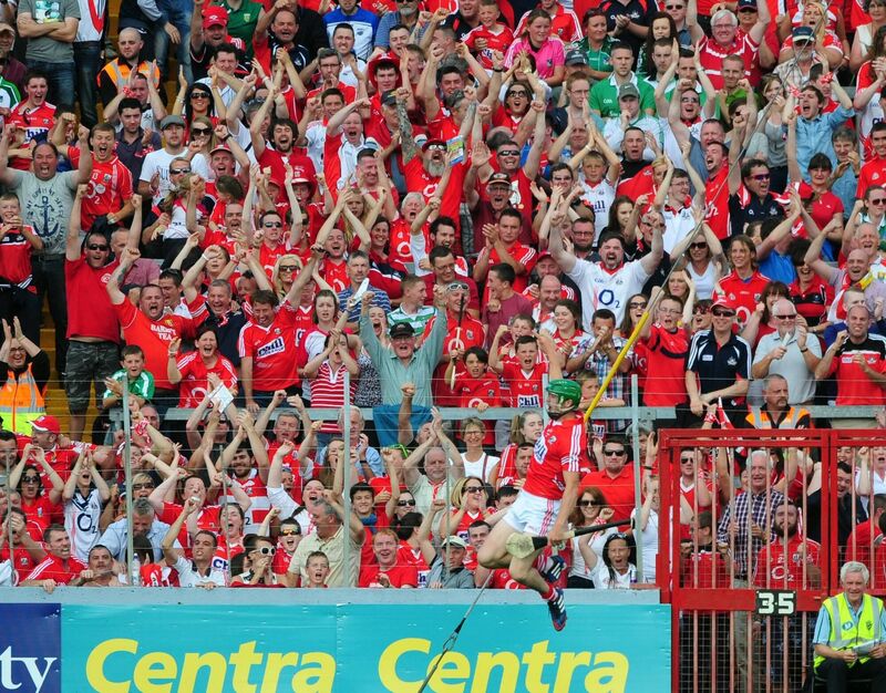 Seamus Harnedy celebrates his goal in front of the Cork fans against Limerick in 2014. Picture: Eddie O'Hare Seamus Harnedy celebrates his goal in front of the Cork fans against Limerick in 2014. Picture: Eddie O'Hare