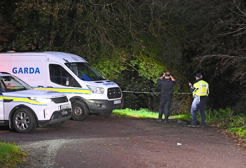 Gardaí at the cordoned off area in Ballyellis. Picture: Eddie O'Hare Gardaí at the cordoned off area in Ballyellis. Picture: Eddie O'Hare