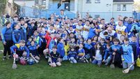 Daniel O'Connell and Johnny Murphy shine as Dromina beat Ballyhooly to lift Junior A crown