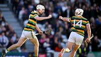 Glen Rovers v St Finbarr's - Cork County Premier Senior Club Hurling Championship Final