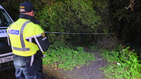 Mallow murder probe examines possible execution-style killing