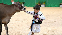 A selection of images chosen by the Irish Examiner picture desk