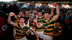 <p>Glen Rovers players celebrate with the Seán Óg Murphy Cup after their win in the Cork Premier Senior Club Hurling Championship final against St Finbarr's. Picture: Seb Daly/Sportsfile</p>
