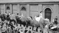 Throwback Thursday: Our fond memories of circus visits in Cork