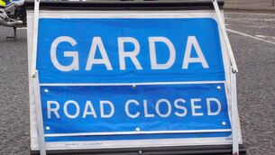 <p>A pedestrian died after being hit by a car near Burnfort, north Cork on Wednesday evening</p>
